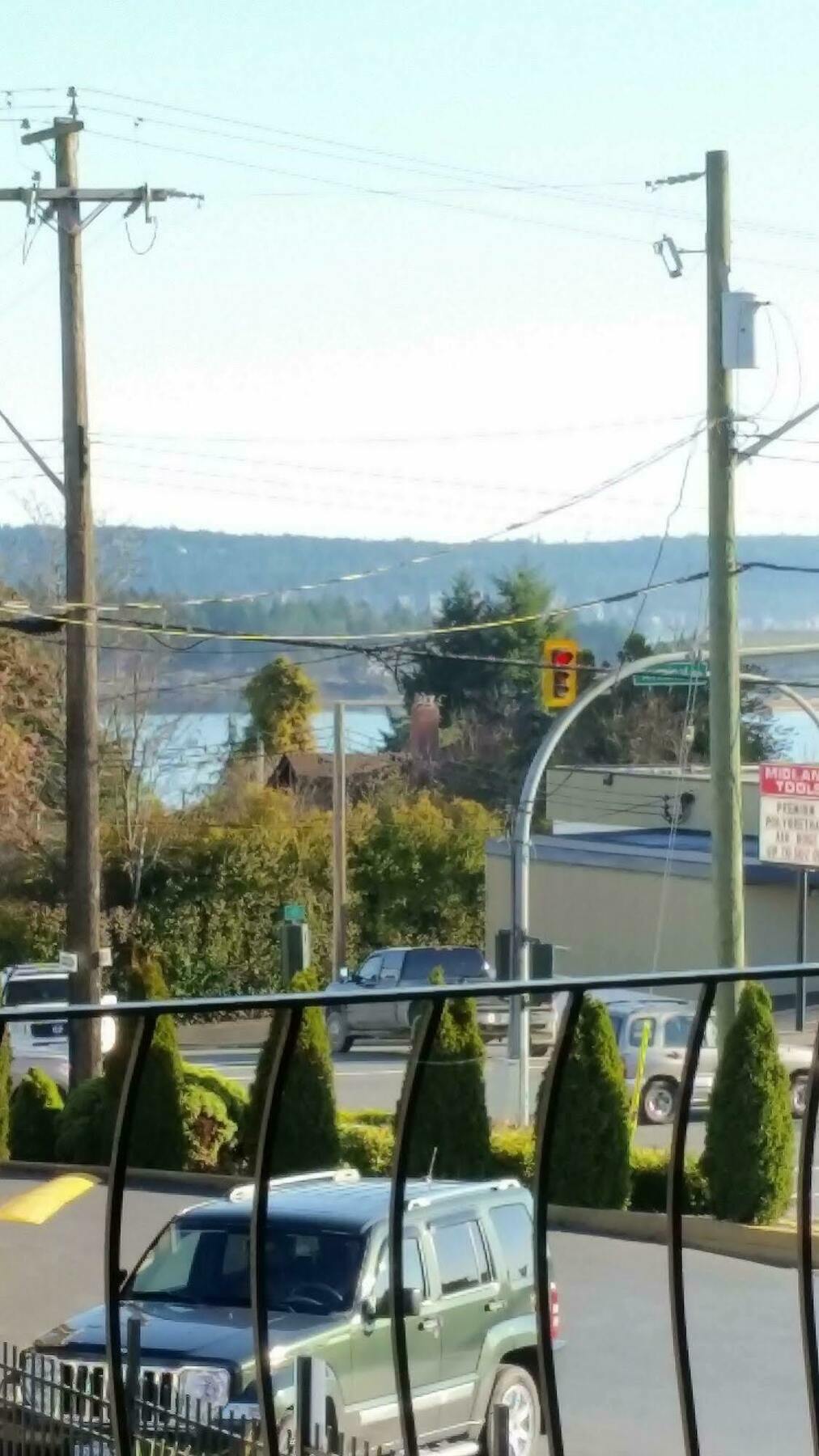 Port-O-Call Inn ナナイモ エクステリア 写真